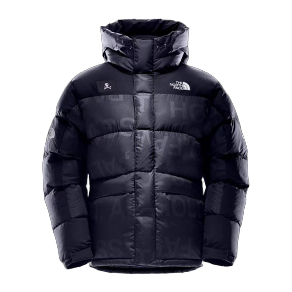 The North Face Urban Exploration Down Parka | UE Special Series 5J27