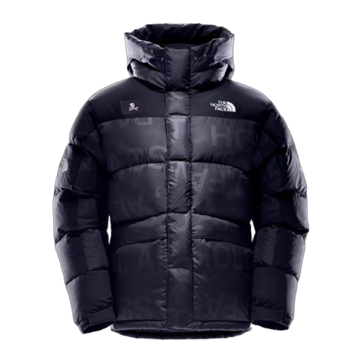 The North Face Urban Exploration Down Parka | UE Special Series 5J27