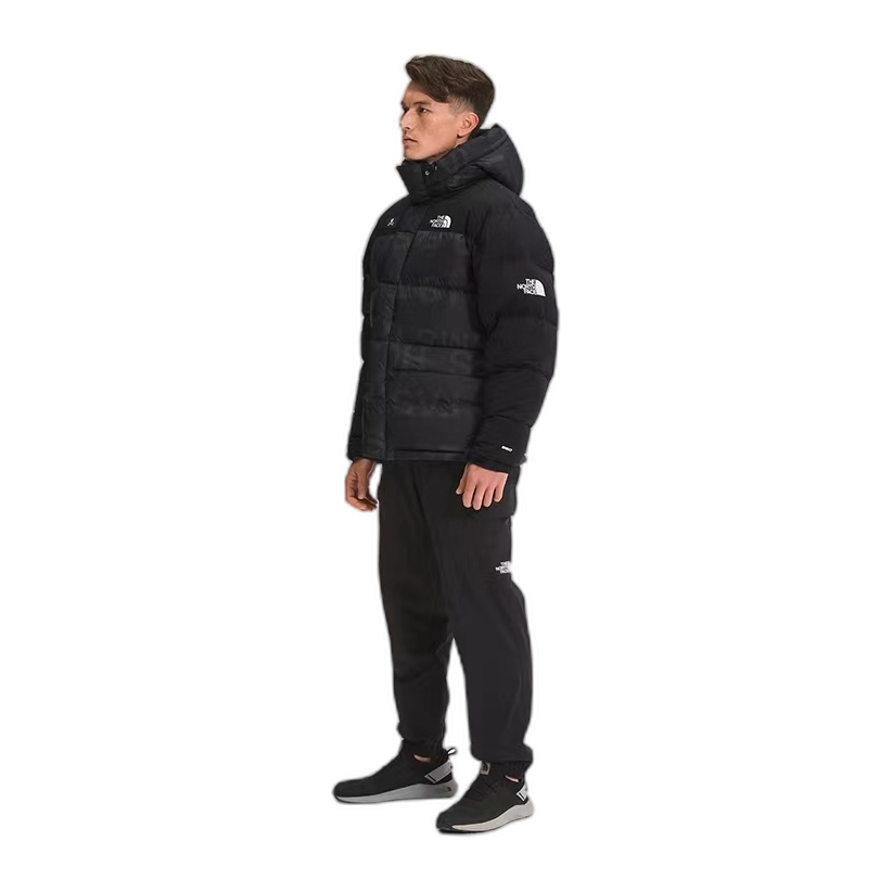 The North Face Urban Exploration Down Parka | UE Special Series 5J27